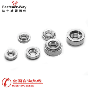 法士威带齿涨铆螺母定制 法士威带齿涨铆螺母定制