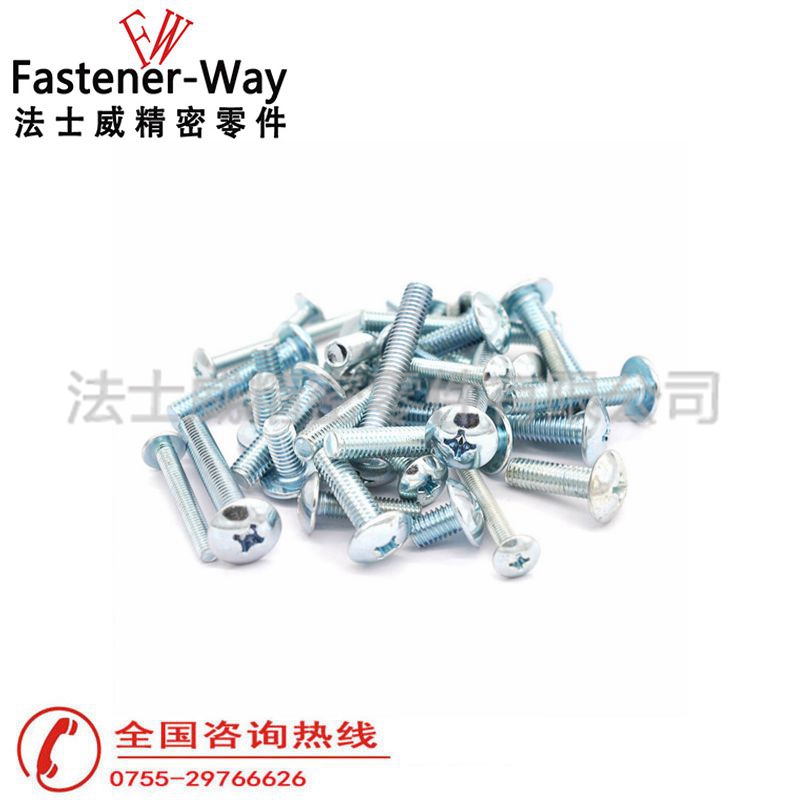 法士威JISB1111十字槽大扁头机牙螺丝钉2 法士威JISB1111十字槽大扁头机牙螺丝钉2