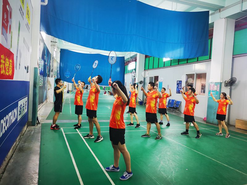 法士威羽毛球队 法士威羽毛球队