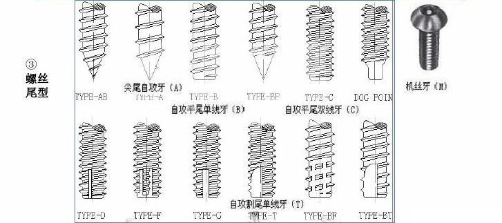 自攻螺丝尾型 自攻螺丝尾型